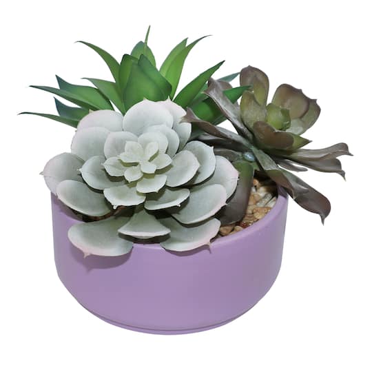 7.5&#x22; Mixed Succulents in Lavender Ceramic Pot by Ashland&#xAE;